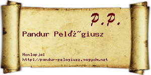 Pandur Pelágiusz névjegykártya